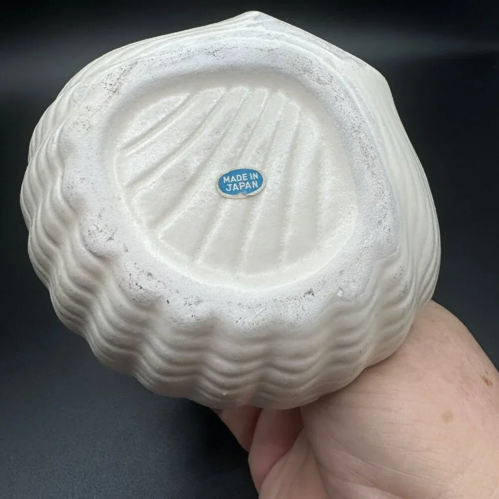 Vintage kitchen bathroom Double Clam Shell Dish read